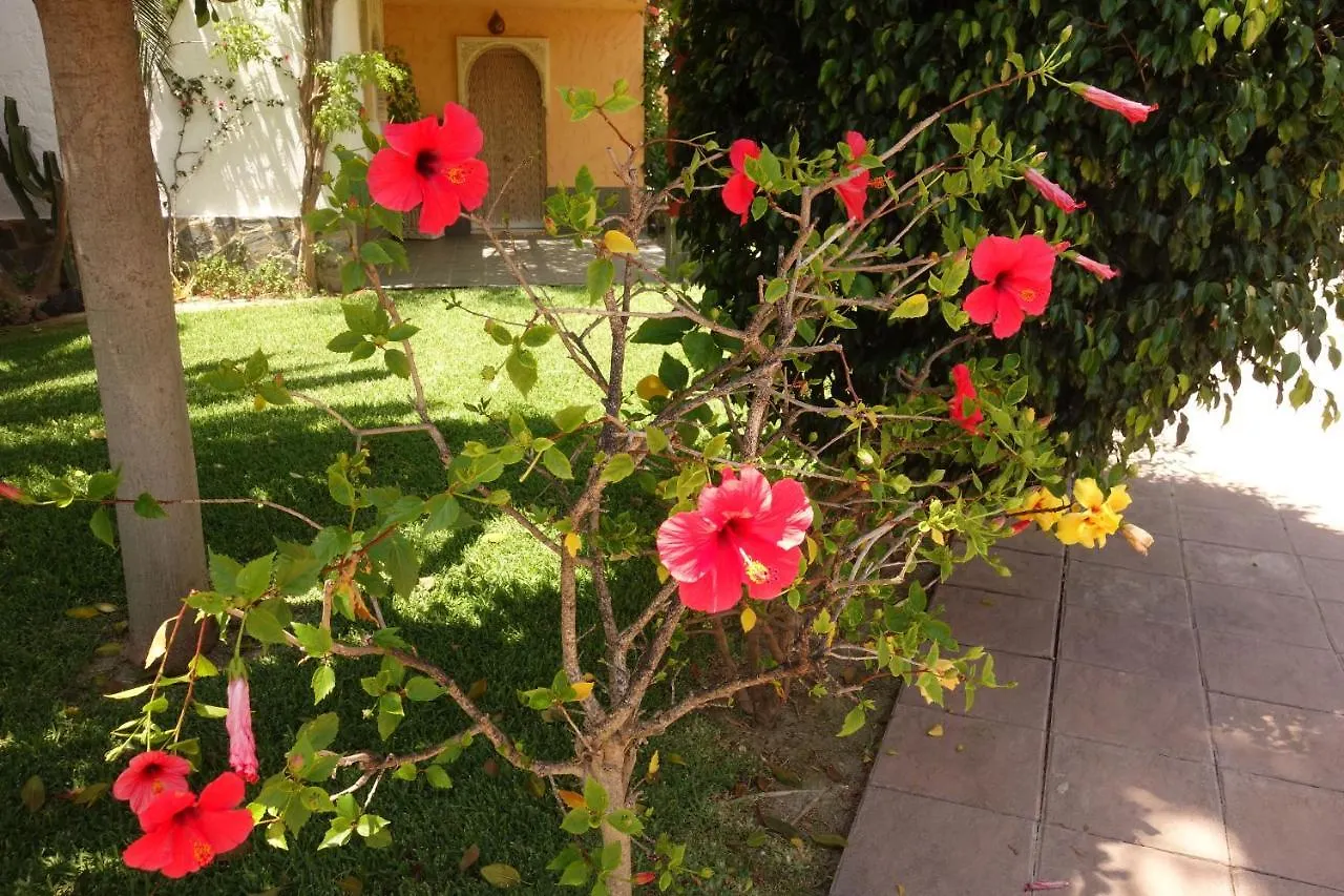 Apartment Vera Playa Spain - La Menara Naturist Complex - Eagles Nest - Penthouse Spain